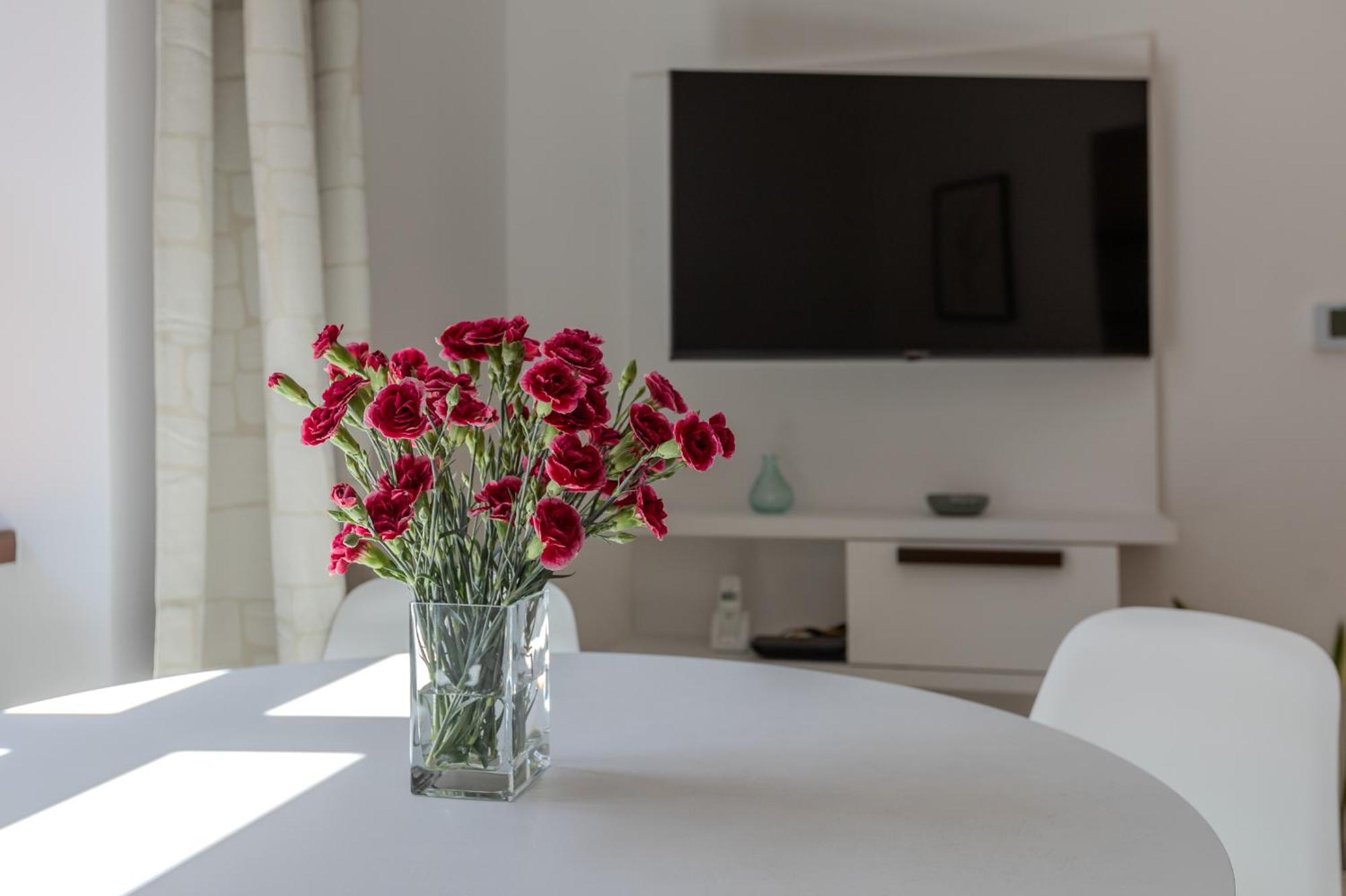 זאגרב Apartment Nikola 4* מראה חיצוני תמונה